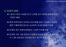 유로화 약세의 원인과 회복 가능성 38페이지