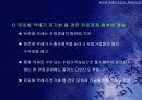 유로화 약세의 원인과 회복 가능성 39페이지