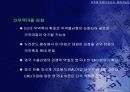 유로화 약세의 원인과 회복 가능성 42페이지