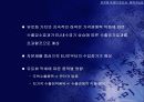 유로화 약세의 원인과 회복 가능성 46페이지
