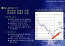 유로화 약세의 원인과 회복 가능성 49페이지