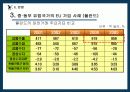 중·동부 유럽 국가들의 EU 가입 과정과 가입 이후의 변화 20페이지