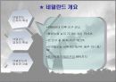 네덜란드 노．사．정 모델의 시사점 4페이지