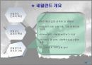 네덜란드 노．사．정 모델의 시사점 6페이지
