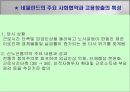 네덜란드 노．사．정 모델의 시사점 17페이지