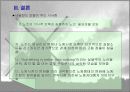 네덜란드 노．사．정 모델의 시사점 23페이지