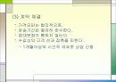 독일상관습1 16페이지