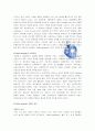 태평양 유럽진출사례 [한국기업전략적진출사례] 6페이지