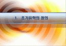 조기유학과 기러기아빠.ppt 3페이지