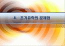 조기유학과 기러기아빠.ppt 20페이지