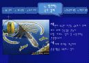 중동국가의 경제(자원을 중심으로).ppt 45페이지