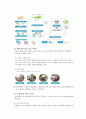 KIFT 기업 경쟁력 조사 5페이지