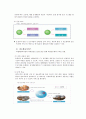 KIFT 기업 경쟁력 조사 6페이지