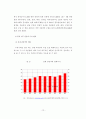 한류가 우리나라 관광산업에 미치는 영향 13페이지