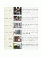 월마트 SCM 사례연구 16페이지