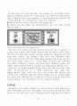 월마트 SCM 사례연구 20페이지