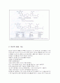 folicacid 엽산,폴산 3페이지