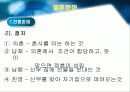 결혼문화 4페이지