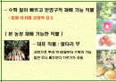 주말농장 - 창업계획발표 14페이지