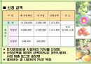 주말농장 - 창업계획발표 20페이지