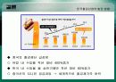 한EU FTA체결이 철강산업에 미치는 영향 31페이지
