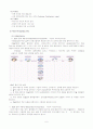 한솔CSN에 대하여 6페이지