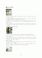 신생아, 미숙아 질환 간호 5페이지