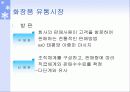 뷰티 트랜드 28페이지