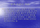 [환경]인간은 동물을 배려하고환경을 보호할 의무를 지니는가 2페이지