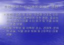 [환경]인간은 동물을 배려하고환경을 보호할 의무를 지니는가 5페이지