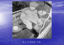 [환경]인간은 동물을 배려하고환경을 보호할 의무를 지니는가 12페이지