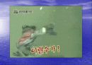 [환경]인간은 동물을 배려하고환경을 보호할 의무를 지니는가 20페이지