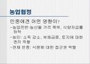 도하개발의제(DDA) 11페이지