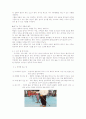 대중문화로서의 걷기운동 7페이지