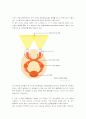 3D 디스플레이의 종류 및 구조, 원리와 그 응용분야 4페이지