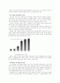 SK텔레콤의 무선인터넷 사업 전략 3페이지