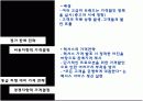 가격결정과 가격관리사례분석(렉서스,이마트사례) 11페이지