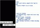 가격결정과 가격관리사례분석(렉서스,이마트사례) 12페이지