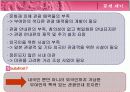 부여군 관광개발프로젝트 -도시개발,관광개발,부여,가야,문화재,관광객 3페이지