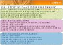 부여군 관광개발프로젝트 -도시개발,관광개발,부여,가야,문화재,관광객 10페이지