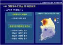 [정책] 신행정수도건설과 국가발전전략-수도이전, 신행정수도건설, 지역발전 13페이지