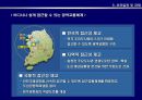 [정책] 신행정수도건설과 국가발전전략-수도이전, 신행정수도건설, 지역발전 24페이지