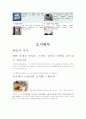 [항공자료] 동남아 4개항공사 비교분석 7페이지