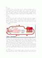 DISEASE -만성신부전(Chronic Renal Failure) 4페이지