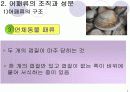 어패류의 조리원리 6페이지