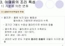 어패류의 조리원리 15페이지