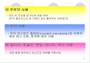 어패류의 조리원리 27페이지
