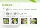 김치만들기 학습지도안 9페이지
