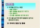 (초등학교)두부 만들기 학습지도안 17페이지
