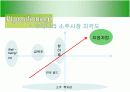 처음처럼 마케팅사례분석 13페이지